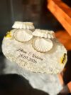 Sea shell Ring Holder Oval shape Ring tray